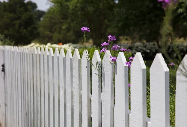 Various types of fencing options